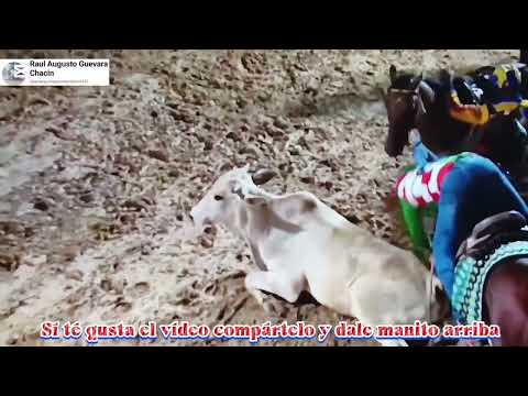 Él de Nueva Esparta Willy García en la Bonita " Miss Amarfi "