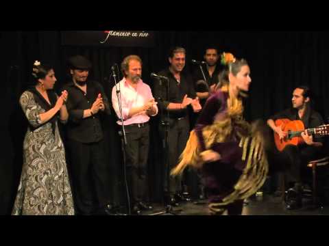 CASA PATAS EN VIVO 129   FIN DE FIESTA VII