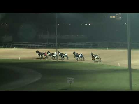 2020.11.07. 09. futam - ŐSZI KANCA DÍJ