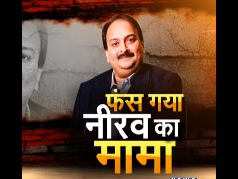 फंस गया नीरव का मामा