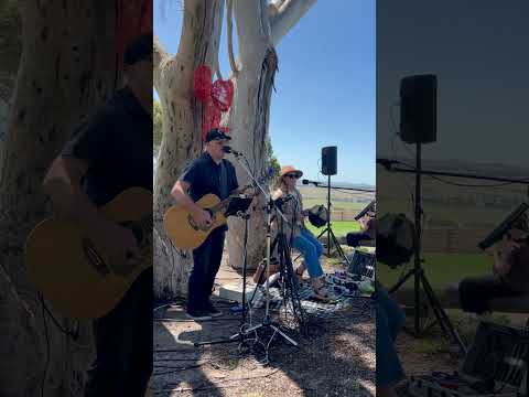 Tim Green & The Frantics video.