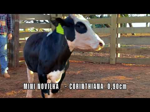 Produto sem imagem