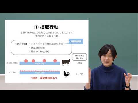 応用動物行動学（2021）