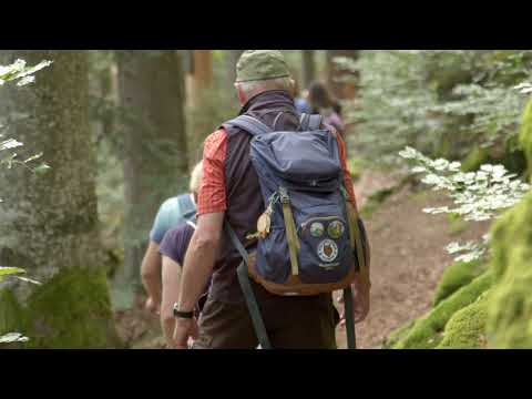 "Abenteuer Wildnis" Wandern im Nationalpark Bayerischer Wald / Hiking in the National Park