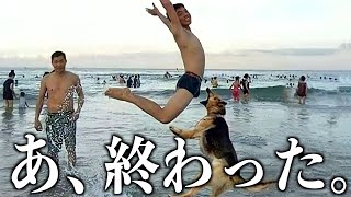 【神回】ツッコミどころ満載な動物のおもしろ動画見ようぜwwwwww#12【ハプニング映像】【犬】【猫】