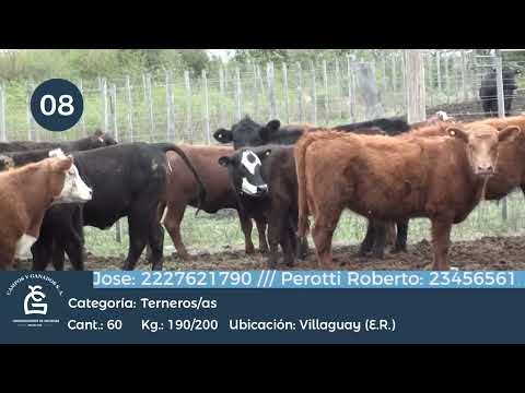 Lote M Y H - Villaguay E Rios