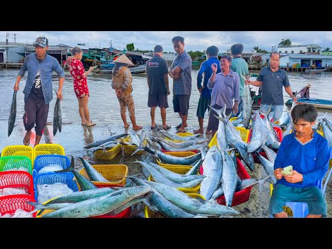 Couple Goes to Sea and Wins a Jackpot of Mackerel and Earns Tens of Millions║Khanh Hoi Beach, Ca ...