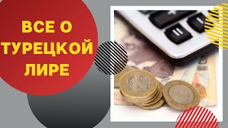 Где обменять турецкую лиру, с какой валютой ехать в Турцию и где смотреть актуальный курс лиры