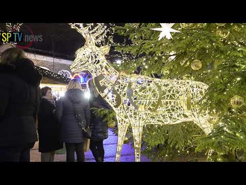 Lichtermarkt Elmshorn 2025