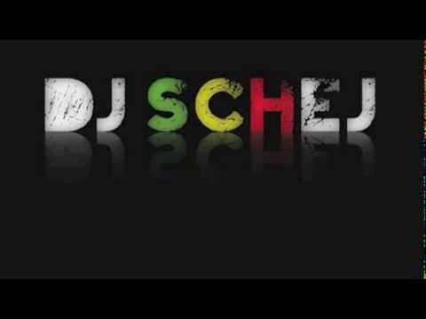 Martin Solveig vs.Bingo Players (SCHEJ Mashup)