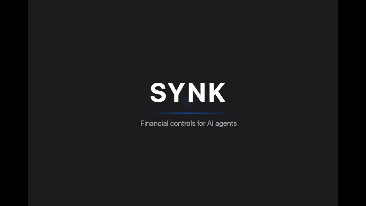 SYNK project preview