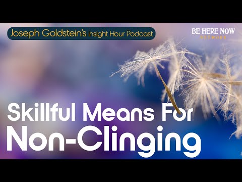 Skillful Means for Non-Clinging with Joseph Goldstein – Insight Hour Podcast Ep. 188