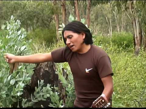 Gualberto Vela || Cuando yo te Conocí