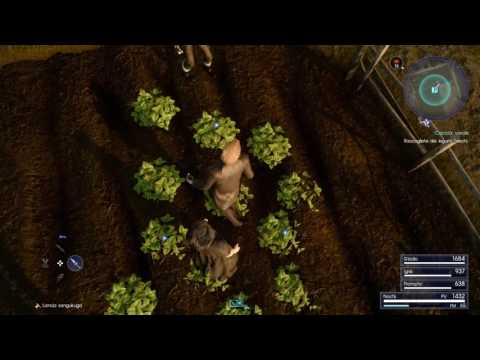 quest bug - FINAL FANTASY XV