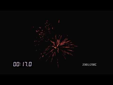 2301/25EC Cake Ø14mm 25s I-shape 25sec H12-15m "The Alien"