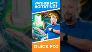 Washer Not Agitating? These Agitators Dogs to Fix It Fast!
