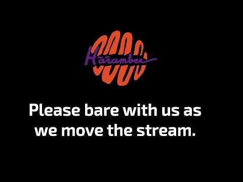 Harambee DS 3 - Apollo 8 DS 6