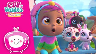 Babies talent ✨ CRY BABIES 💦 MAGIC TEARS 💕