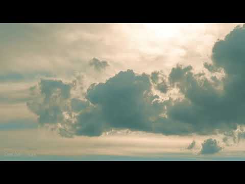 Coral Chiller - Drops