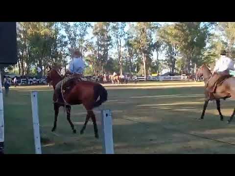 Jineteadas en pelo - Festival de Doma y Folklore - Plácido Rosas, Cerro Largo 07/02/2026