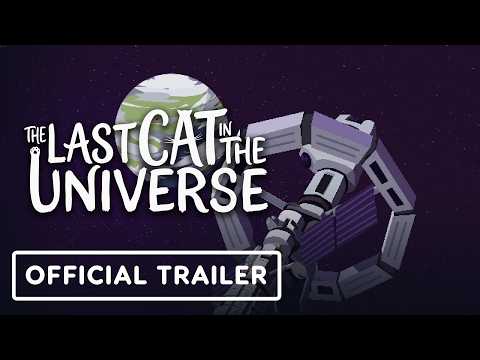 the last cat in the universe