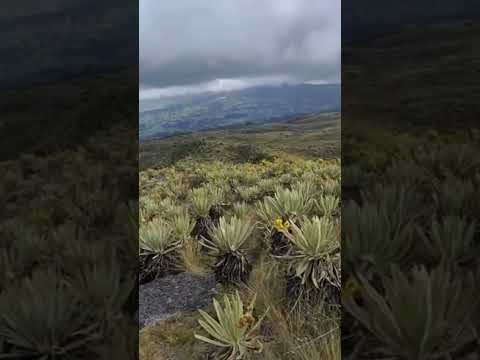 Páramo hacia laguna la laguna el Alar, Une Cundinamarca #naturaleza #senderismo #paramo