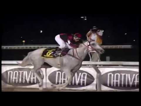 1º SUPER CAT Gr. Pr. Piñeyrúa Año 2008