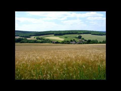 Jakobsweg Tag 11 Tonnere - Vezelay