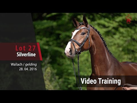 27 Silverline v. Sir Heinrich - Ehrenpreis_Trainingsvideo