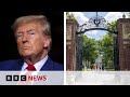 US President Trump Blocks Harvard From Enrolling Foreign Students BBC News