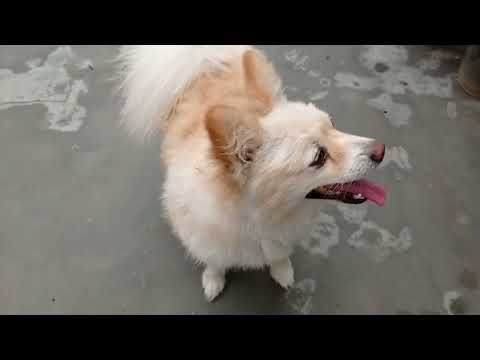 19 September 2023(1)