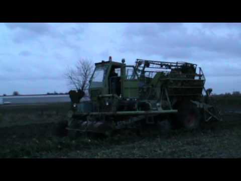 Landb. Dejonghe - Passendale