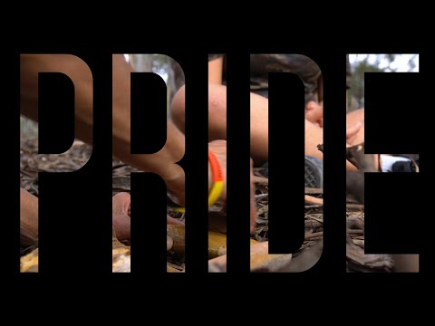 PRIDE