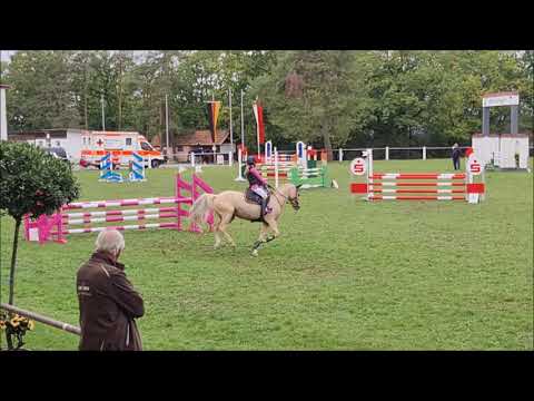 Malu (11) und Duebaree - SIEG A* Süddt. Ponymeisterschaft 1. Wertungsprf. in Remlingen am 25.09.2020
