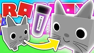 Descargar Mp3 De Roblox Pet Simulator Gratis Buentema Org - making giant cats without giant cat code in roblox pet simulator
