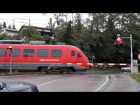 Passaggio a livello Ilirska Bistrica (Slo)//Spoorwegovergang//železniških prehodov/Railroad crossing
