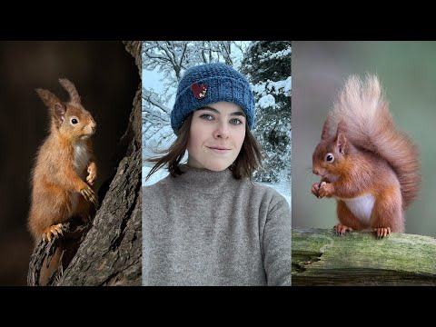 A Red Squirrel Story in the Scottish Highlands