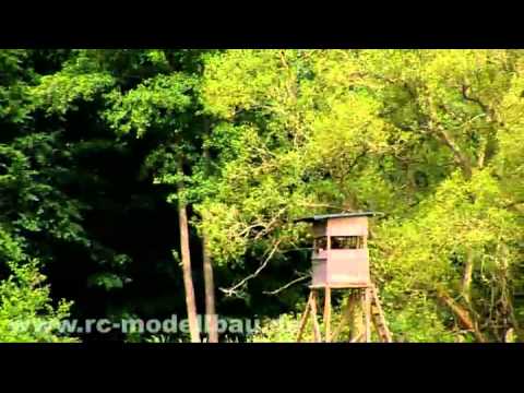 Durch Tiefflugangriff Ärger mit der Förstbehörde wegen Rüdiger