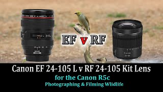 Canon EF 24-105 L v RF 24-105 kit lens on the R5c