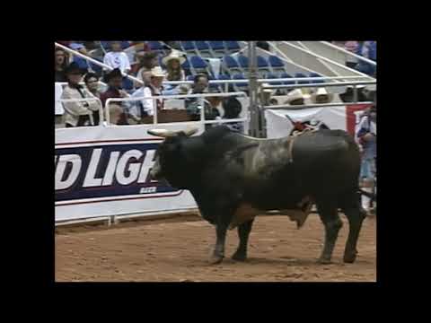 Not Responsible bucks Adam Carrillo - 95 PBR Charlotte