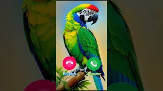 Download lagu #ringtone #smartphone #music #ringtones mp3 Download lagu #ringtone #smartphone #music #ringtones mp3