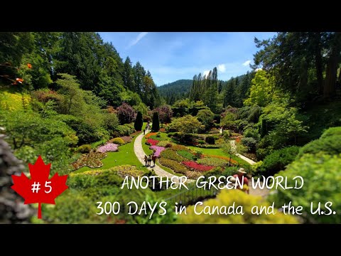 [#5-Canadá] Victoria de um dia ~ jornada de 200 km ~ @Victoria [Working Holiday]