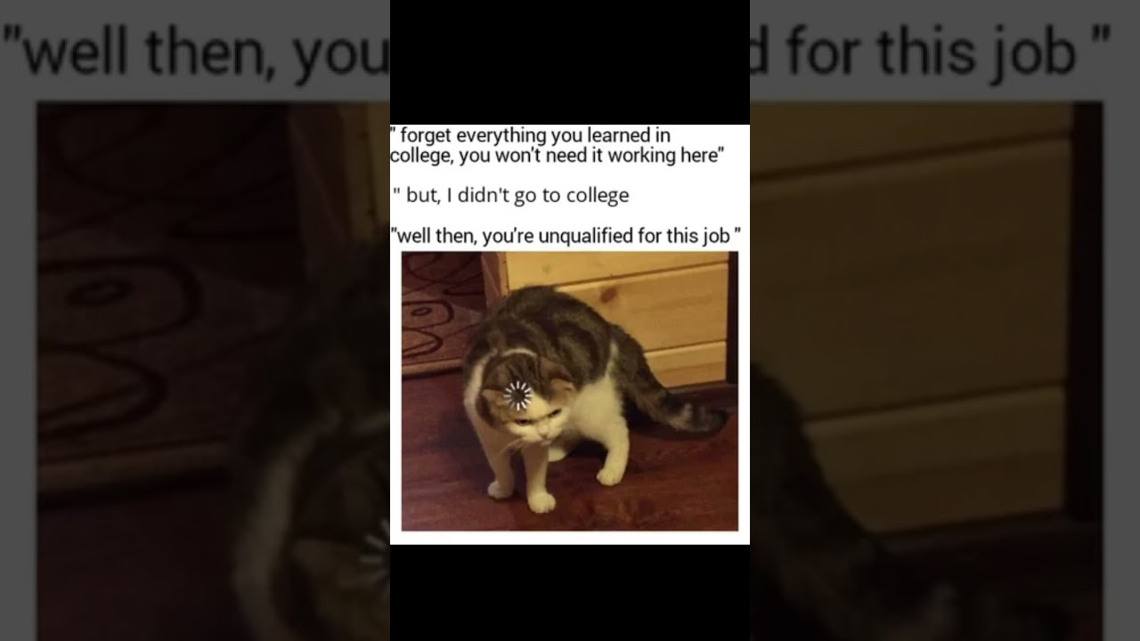 Why do they do this 😭