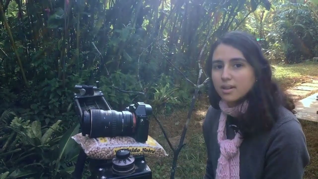 Beija-flor | Vizinhos Selvagens - 1ª temporada