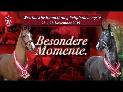 Trailer Westfälische Hauptkörung 2019