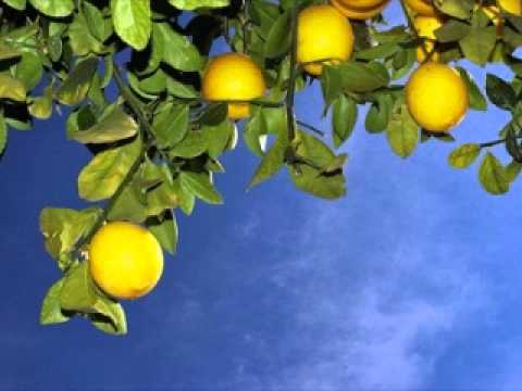 jay tripwire feat marie tweek - save each other (main dub mix)