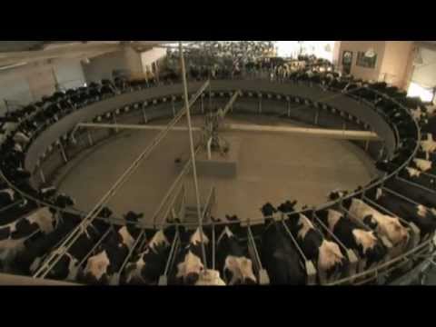 GEA Farm Technologies  AutoRotor Magnum 90 - EN