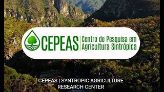 Agricultura Sintrópica mecanizada em larga escala