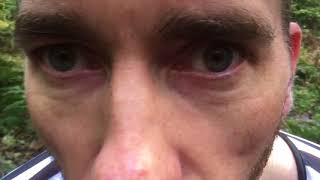 The Fast Camels - Watchmaker