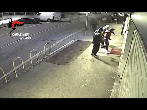 Furti in bar e tabacchi tra Milano e la Brianza, sgominata una banda di rumeni